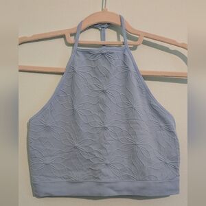 American Eagle Outfitters Blue Fitted Sleeveless Crop Tank